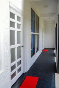 Shiny Cot - Nuwaraeliya