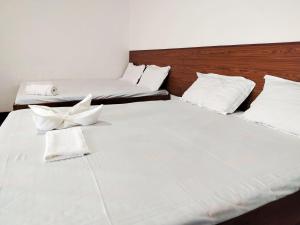 Shiny Cot - Nuwaraeliya