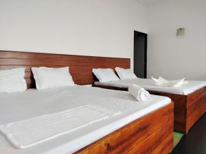 Shiny Cot - Nuwaraeliya