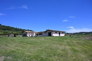 La mora selvatica