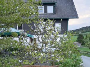 Ferienwohnung Schwalbennest