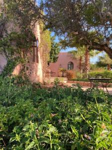 Bab Roc Large charming house with swimming pool