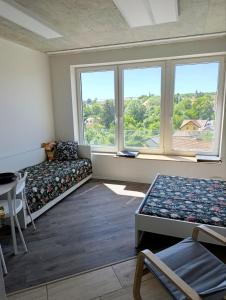 Brand new studio Penthouse #33 near center with FREE parking