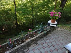 Hidden Forest Fairytale House