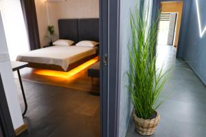Prestige House Delux