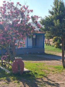 La casa di lefki