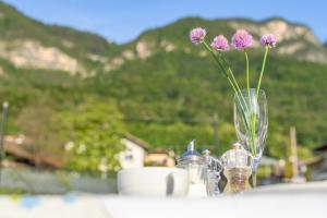 Micheli Hermann Obst- und Weinbauernhof mit "Südtirol Alto Adige Guest Pass - Mobilcard"