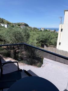 Palms Guest House