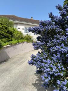 Villa grain de sel