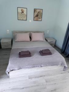 Palms Guest House