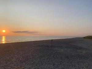 Wangermeer Perle I