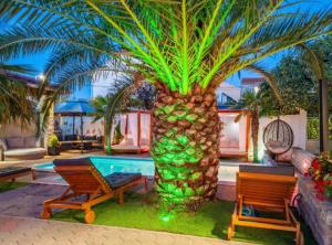 Bračić Premium Apartments with Outdoor Pool and Sauna 2