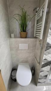 Calma Apartments Tatry