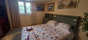 SHLEY House 1
