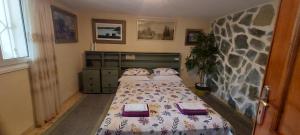 SHLEY House 1