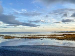 Lower Bamburgh View