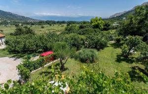 Apartman Maledi