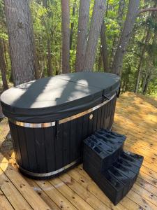 Blackview cabin