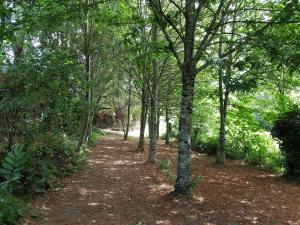A Cancela House Arouca Paiva Walkways