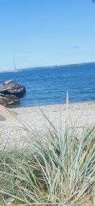 Romantic city studio near the beach, free parking, self check in
