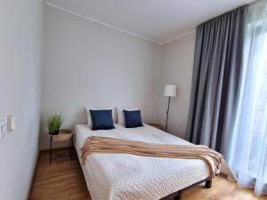 Cozy Apartment near City Centre