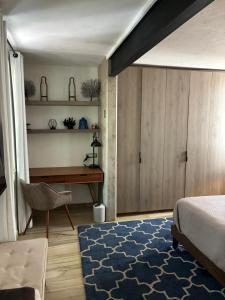 Bright Room with Terrace, Zona Rosa