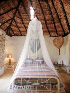 Hotel and Museum Aldea Maya Toktli Orígenes - Pool, Wifi Starlink & Mayan House Museum Tour