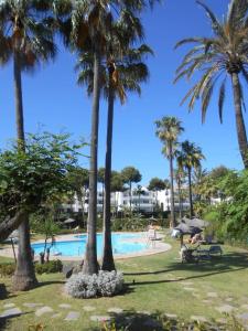 Sea View Oasis in Miraflores