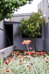 Casa a 2 minutos a pé de piscina natural
