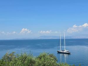Aether seaview