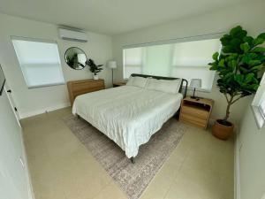 La Casa Antigua, Boutique Mid-Century Building