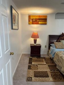 Spacious Basement Apartment in GTA