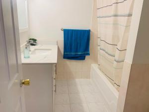 Spacious Basement Apartment in GTA