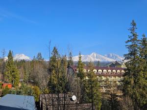 Apartman Patris 3