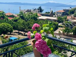 Kapougiati Studios - Ilia Edipsos Sunny and Cozy Getaways