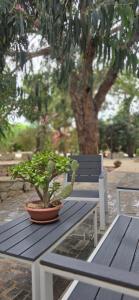villa Beatrice