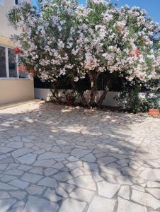 Aspa Apartments