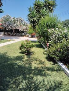 Aspa Apartments