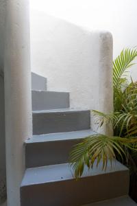 Old Town Sea View Apartment Terrace