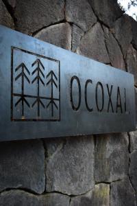Ocoxal Avandaro