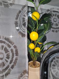 Mahanaim Private Suite & Kitchen