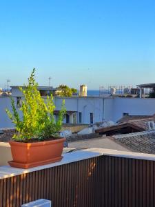 Marmori Suites Cagliari img50