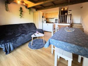 Résidence Loustal - Grand studio mezzanine 6 personnes MAE-4104