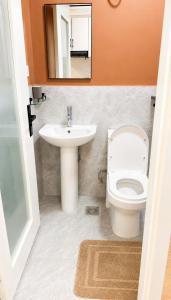 Alba studio Lavington