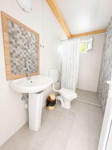 Camping Bucuria Bungalow