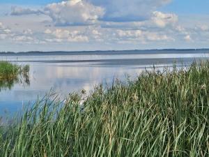5 star holiday home in Ulfborg