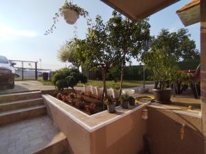 Apartman Stankovic 2