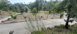 Quinta Da Bolota Small Cabin