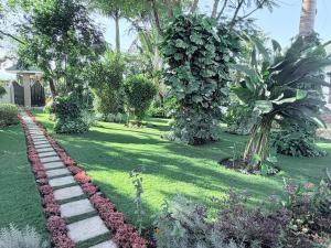 The Angelique Oasis