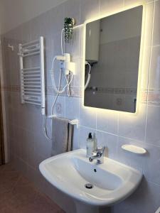 Apartma Suzy